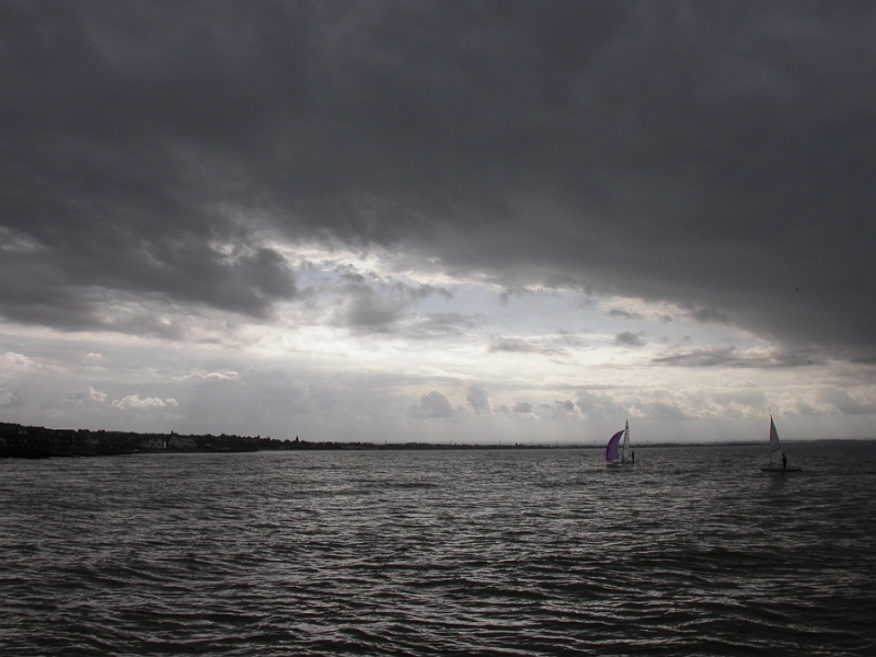 07 - Wild Whitstable.JPG